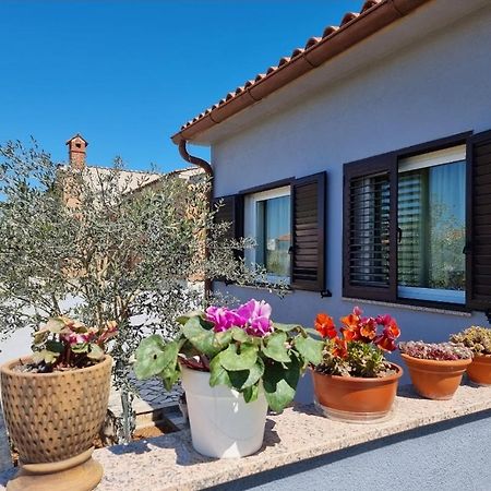 Frida Pula Exterior foto