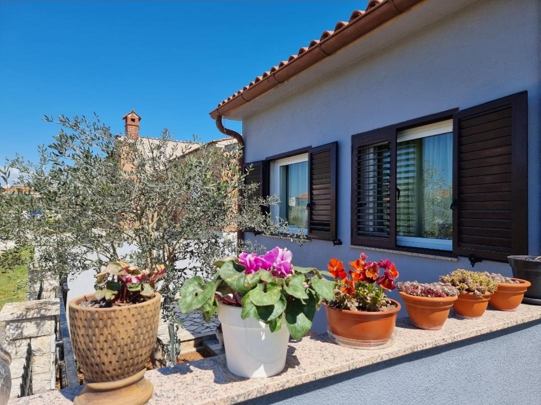 Frida Pula Exterior foto